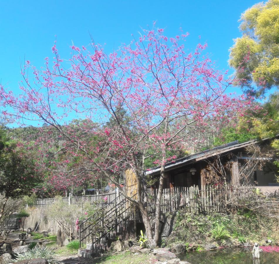 Bright Moon Homestay Dongshi  Екстериор снимка
