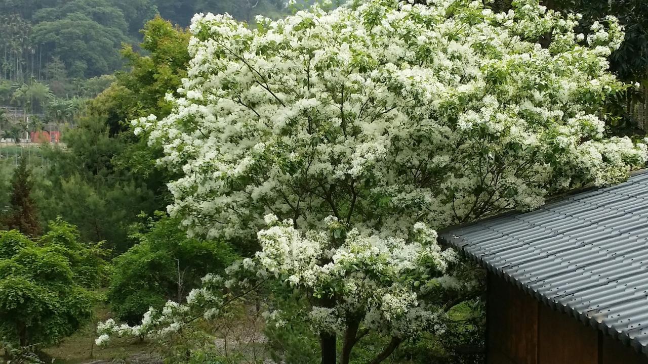 Bright Moon Homestay Dongshi  Екстериор снимка