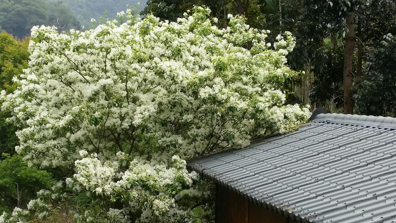 Bright Moon Homestay Dongshi  Екстериор снимка