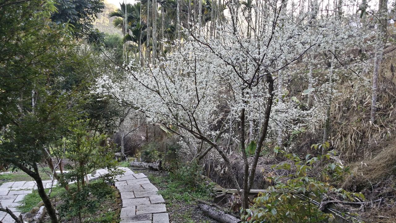 Bright Moon Homestay Dongshi  Екстериор снимка